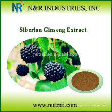 Extracto de ginseng siberiano de alta qualidade 0,8%